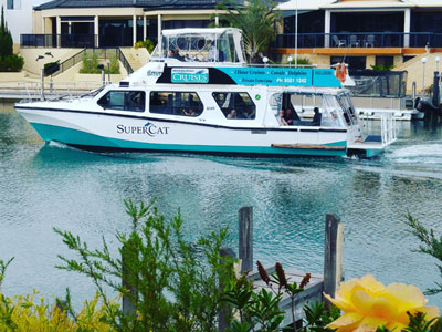 Mandurah Cruises dolphin tour goes past our Mandurah Holiday Rental